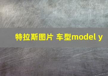 特拉斯图片 车型model y